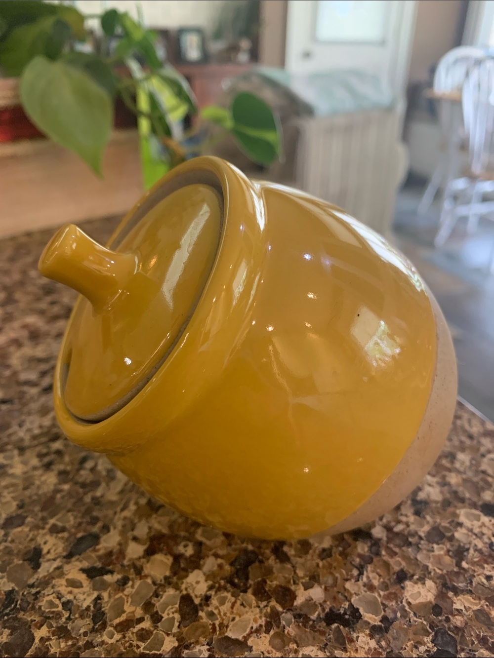 Glossy Yellow Ceramic Storage Jar with Notched Lid